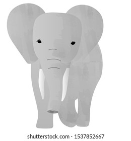 Illustration of an elephant seen from the front