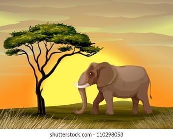 Abbildung eines Elefanten unter einem Baum