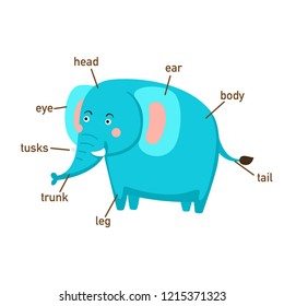 Illustration of elephant vocabulary part of body.vector