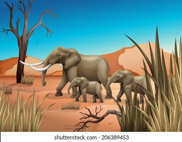 Illustration of the elephants at the desert