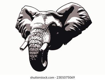 Illustration of an elephant's head, white background 