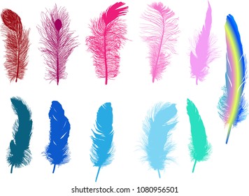 illustration with eleven colored feathers isolated on white background