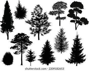 illustration with eleven trees isolated on white background