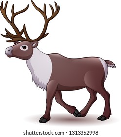 Illustration of Elk isolated on white background