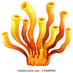 Illustration of an elongated coral on a white background