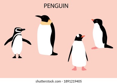 Illustration with emperor penguin. Cute cartoon character. Antarctica bird.