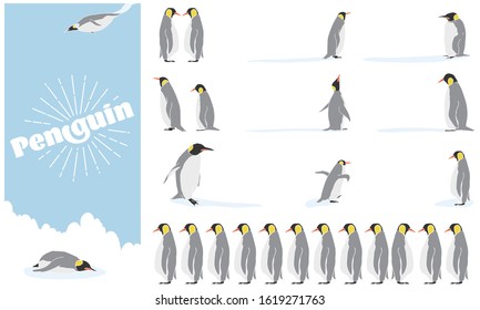 Illustration of emperor penguin - various set - white border