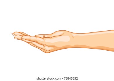 illustration of empty hand on isolated background