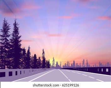 illustration with empty street between fir trees at sunset