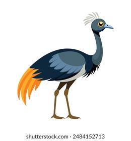 illustration of emu bird animal on white