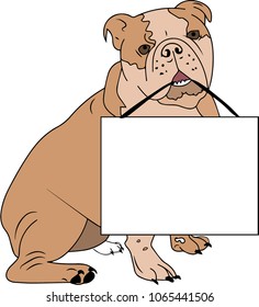 Illustration. english bulldog