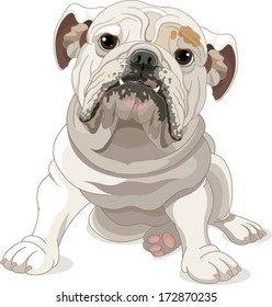 Illustration of English Bulldog isolated on white