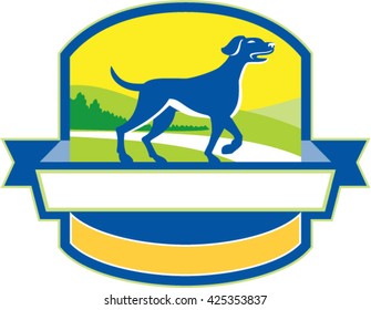 Illustration of an english pointer dog pointing up in a pointer stance with head up tail out grass and trees side set inside shield crest and banner ribbon in the bottom done in retro style. 