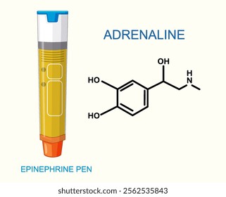 Illustration of epinephrine pen and adrenaline molecule