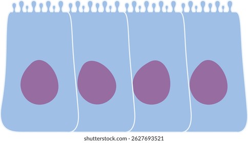 Ilustración del líquido de las células epiteliales