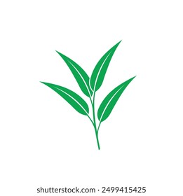 illustration of eucalyptus oil leaf, vector art.