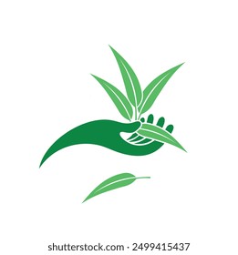 illustration of eucalyptus oil leaf, vector art.