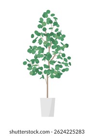 Illustration of eucalyptus potted plant