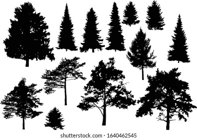 Similar Images, Stock Photos & Vectors of illustration with evergreen