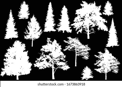 Tree Silhouette Images Stock Photos Vectors Shutterstock