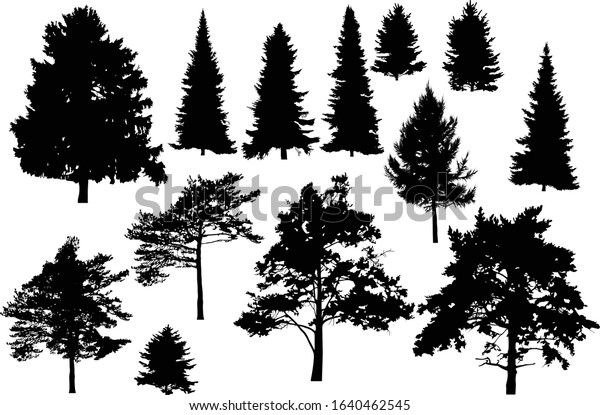 Illustration Evergreen Tree Silhouettes Isolated On Stock Vector 