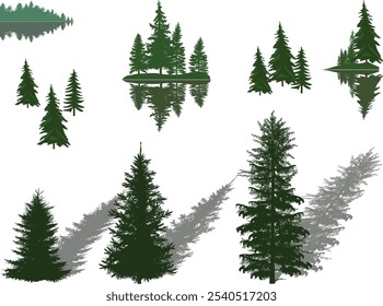illustration with evergreen trees set isolated on white background
