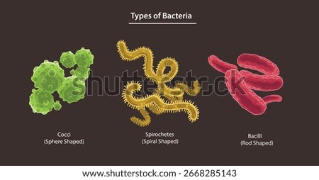 Illustration of Examples of Bacteria or Types and Infections