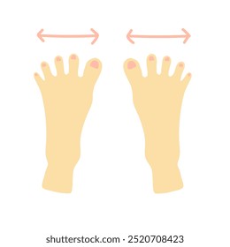 Illustration of exercising with toes open in a par shape.