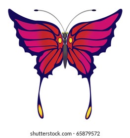 Illustration, the exotic butterfly on a white background.