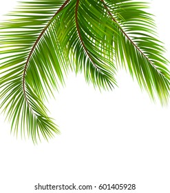 Illustration Exotic Tropical Background with Palm Leaves. Place for Your Text - Vector