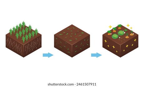 Illustration to explain the cultivation of green manure and plowing _ Isometric