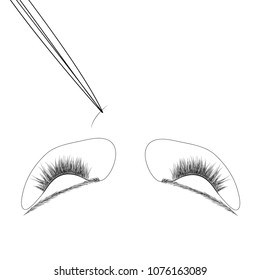 Illustration of extension of eyelashes, how to place false eyelashes