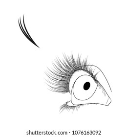 Illustration of extension of eyelashes, how to place false eyelashes