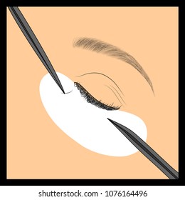 Illustration of extension of eyelashes, how to place false eyelashes