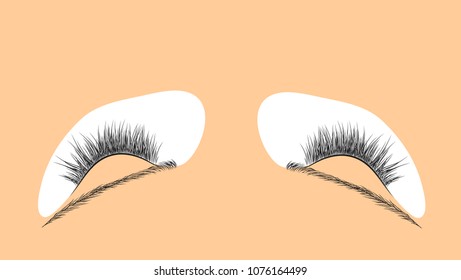 Illustration of extension of eyelashes, how to place false eyelashes