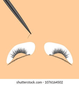 Illustration of extension of eyelashes, how to place false eyelashes