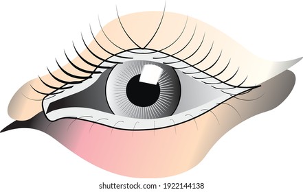 Illustration einer Augenfarbe