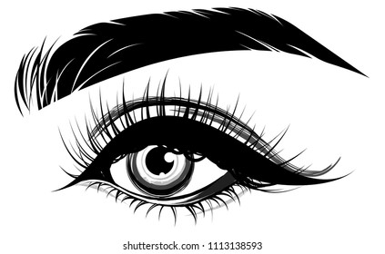 illustration of eye makeup and brow on white background