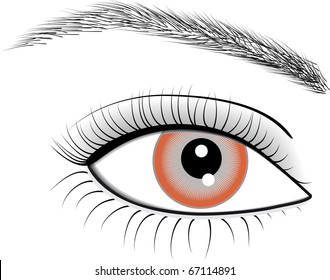 Illustration of eye of woman