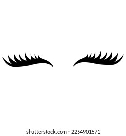 Illustration of eyelashes vector graphic design