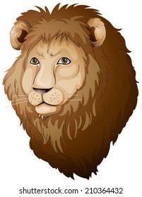 Illustration of a face of a lion