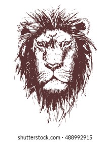 Illustration of the face of a lion, hand-drawing