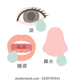 Illustration of face parts translation: Tears, runny nose, saliva