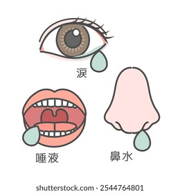 Illustration of face parts translation: Tears, runny nose, saliva