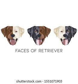 Illustration Faces of Labrador Retriever - These happy dogs stand for the beauty of retrievers. A great motif for dog owners.
