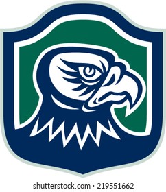 Illustration of a falcon hawk eagle bird head looking to side set inside shield crest on isolated background done in retro style. 