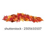 Illustration of fallen autumn leaves