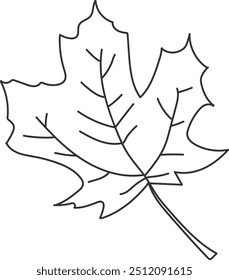 An illustration of a fallen leaves with distinctive hand drawn lines