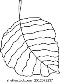 An illustration of a fallen leaves with distinctive hand drawn lines