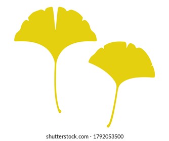 Illustration of fallen leaves of ginkgo